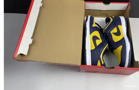 Michigan Nike Dunk DD1391-700 Low 0504